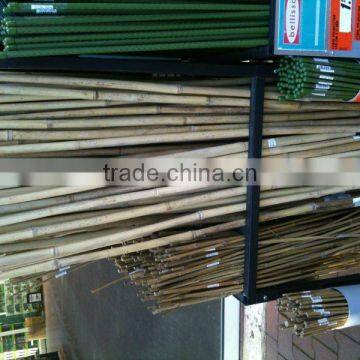 Natural Raw Green Bamboo Flower Sticks