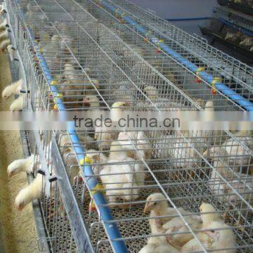 nice quality poultry cage for chicken/birds/quail