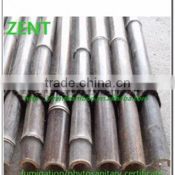 ZENT-17 Natural black rolling bamboo fence/bamboo panel