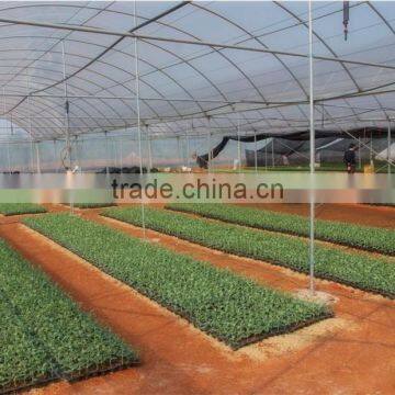 UV Resistance Flower Greenhouses,farm Hothouses, Glasshouse Big Shed Made in China photo-5