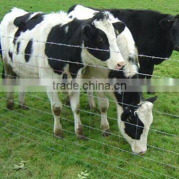 Fast Speed SGS Hinge Joint Knot Field Fence Machine photo-4