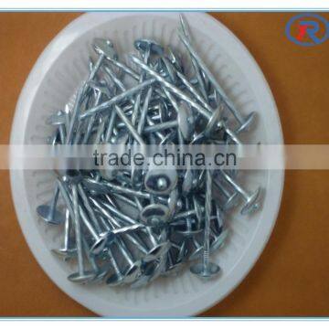 China Roofing Nail With Washer/Umbrella Roofing Nails photo-5
