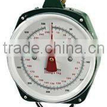 Thickness Iron big game 250kg weighing scales