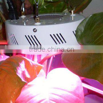 300W UFO Led Grow Light Full Spectrum Grow Lights Led Plant Lamps With UV/IR Led Bulbs for Hydroponic System photo-5