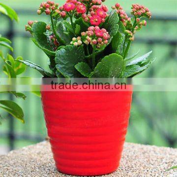 Light weight colorful plastic flower pots for livingroom