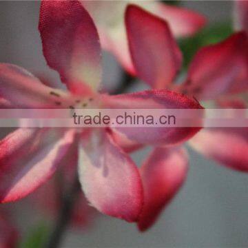 Dry Flower Artificial Flowers Plastic Primroses photo-4