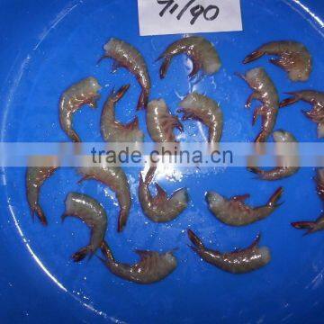 HLSO Shrimps Poovalan