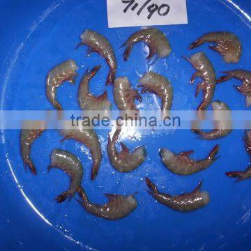 HLSO Shrimps Poovalan photo-1