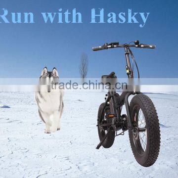 20 Inch OEM Fat Tyre Electric Fold Bike 250w With Suspension Front Fork photo-3