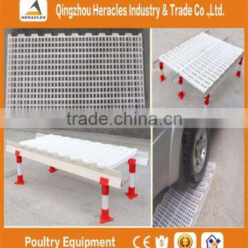Automatic Broiler Poultry Farm Feeding and Drinking Systems & Chicken Poultry Farm Equipment photo-3