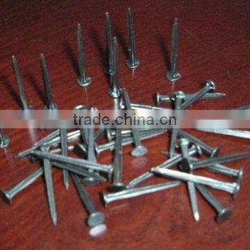 WEIHAO factory Shoe Tack Nails