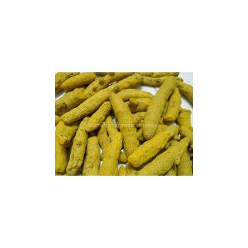 Curcumin photo-3