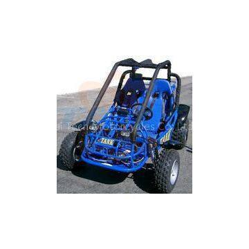 TrailMaster 300 XRX Dune Buggy