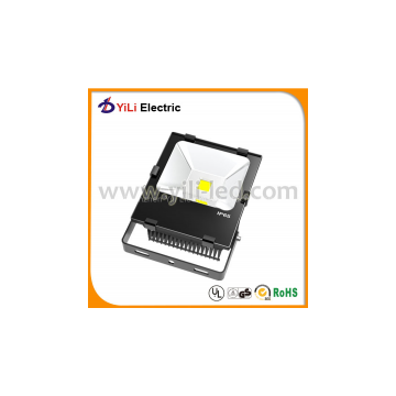 10W-200W COB LED FloodLight