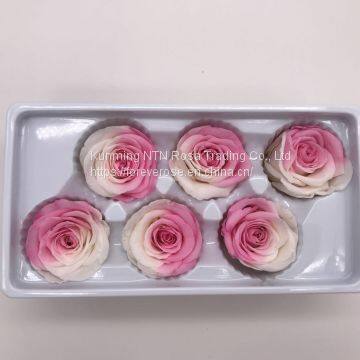 Preserved Rose Preserved Flowers Dried Flowers Birthday Valentine Party Wedding photo-5