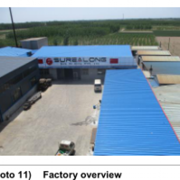 Surealong Group Corporation company overview - view 1