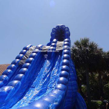 Inflatable Slip and Slide Inflatable Water Slide Axs-08 photo-3