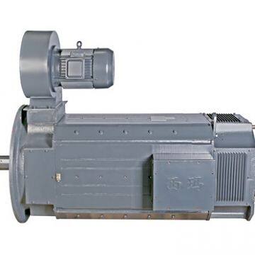 High Quality 440V 5.5kw Brush DC Motor photo-2