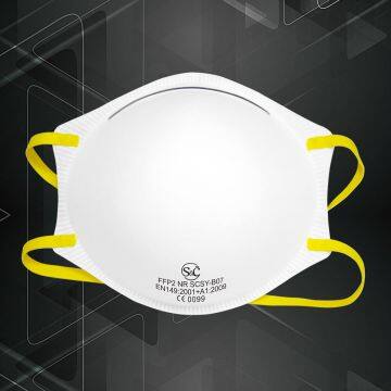 Protective Mask