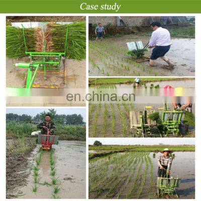 Hand Cranked Paddy Planter 2 Row Philippines Seed Manual Philippine Rice Transplanter For Sale With Price photo-4