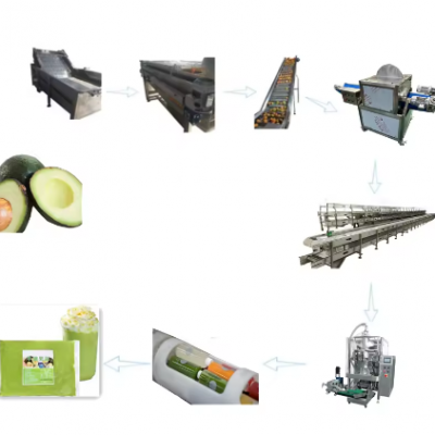 Turnkey Complete Avocado Pulp Puree Oil Extraction Production Line Processing Machine