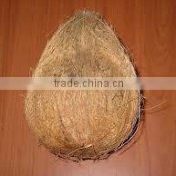 100% Natural Fresh Coconut market price