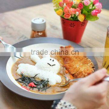 Outstanding Promotion Japanese Curry Cube With 100g From China photo-3