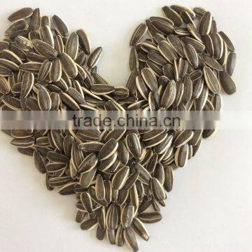 Bulk sunflower seeds, cheap sunflower seeds