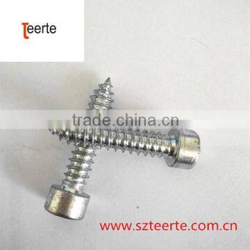 thread forming screw(self tapping screw)