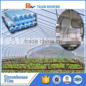 Cheap 6 Mil Greenhouse Poly, Poly Film for Greenhouse