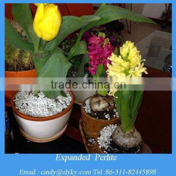 horticulture grade perlite soil