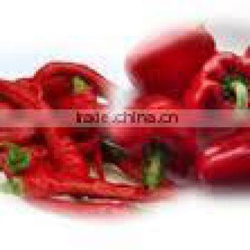 Oleoresin Capsicum photo-6