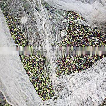 olive collection net, olive net for agriculture (32g-90g olive net )