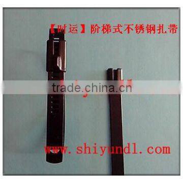 Multi Lock Type stainless steel epoxy coated cable tie