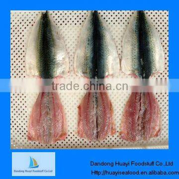 Frozen horse mackerel fish