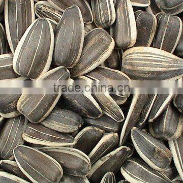 sunflower seeds