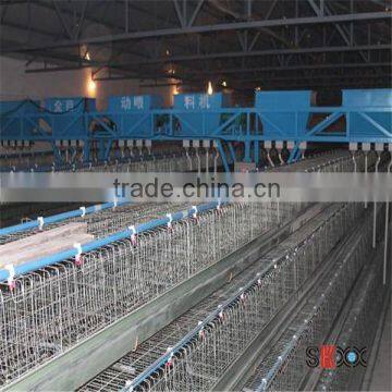 Low Cost Steel Frame Chicken House for Broilers photo-4