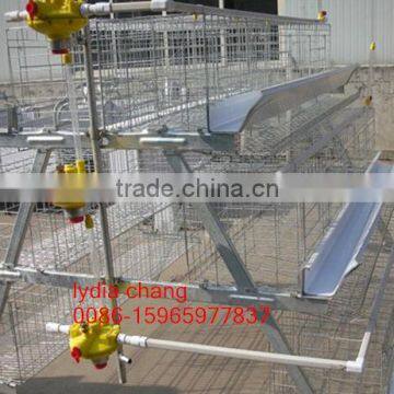 Professional design poultry cage /chicken cage in tanzania (lydia : 008615965977837)
