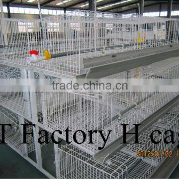 New design BT Factory hot-sale broiler chicken cages for kenya poultry farm (Factory price)