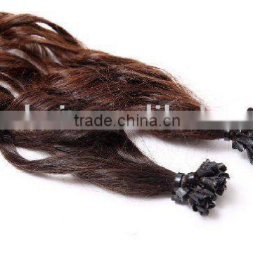 Virgin Indian Remy Hair -Curly Virgin Hair Pre- Tipped