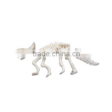 Small Dinosaur Skeleton Dig Kit photo-4