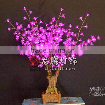 Simulation Bonsai Tree With Lighting photo-2