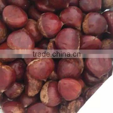 water chestnuts/chinese chestnuts