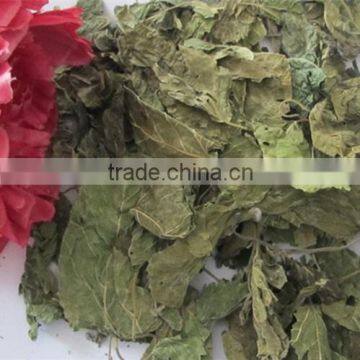 Mulberry Leaf Natural Herbal Tea photo-6