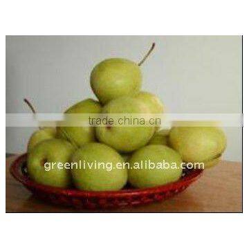 Chinese fresh pear