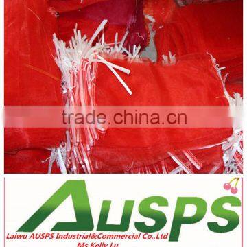 PE Drawstring Mesh Bag for Fruit and Vegetable