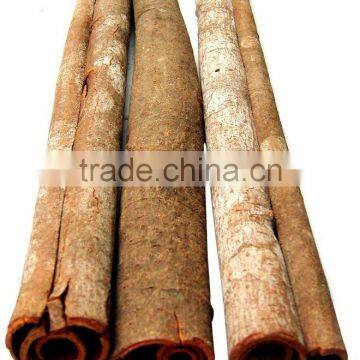 2015 HIGH QUALITY CINNAMON TUBE