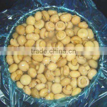 Supply wholesale whole champignon mushroom in drum