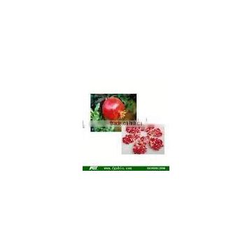 Pomegranate Extract Powder Ellagic Acid