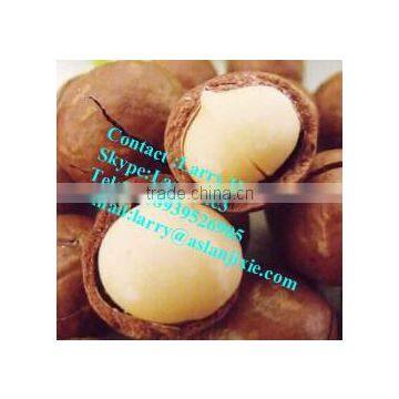 Kindal Cracking Machine/macadamia Nut Opening Machine/bauple Nut Cracking Machine photo-6
